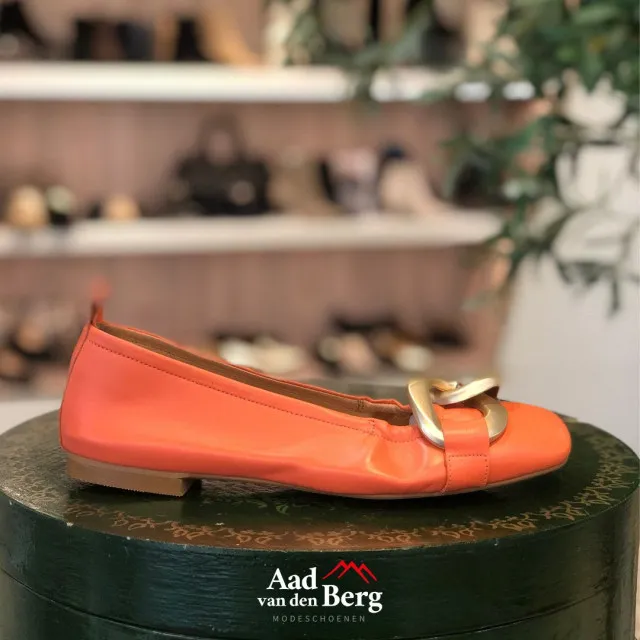 AVDB Damesschoenen instappers