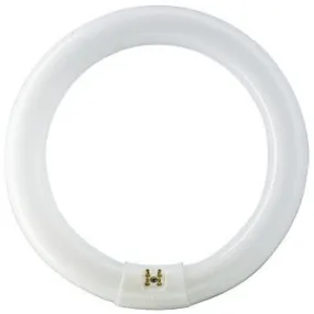 Philips 22 W G10q fluorescente lamp B Neutraal wit