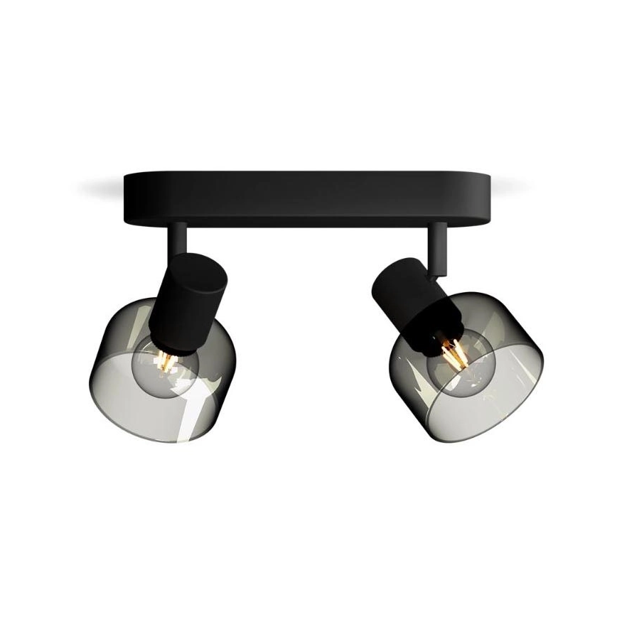 PHILIPS  SPOT SLEET 2XE14/25W/230V